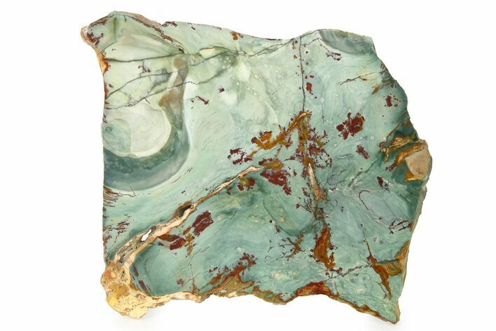 Gary Green Jasper (Larsonite) Bog Wood Slab - Oregon #263483